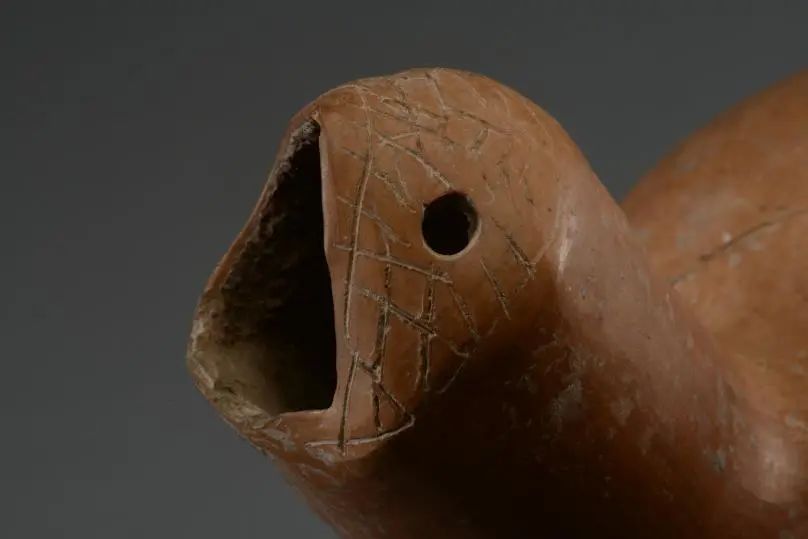 新石器时代·仰韶文化龟形壶