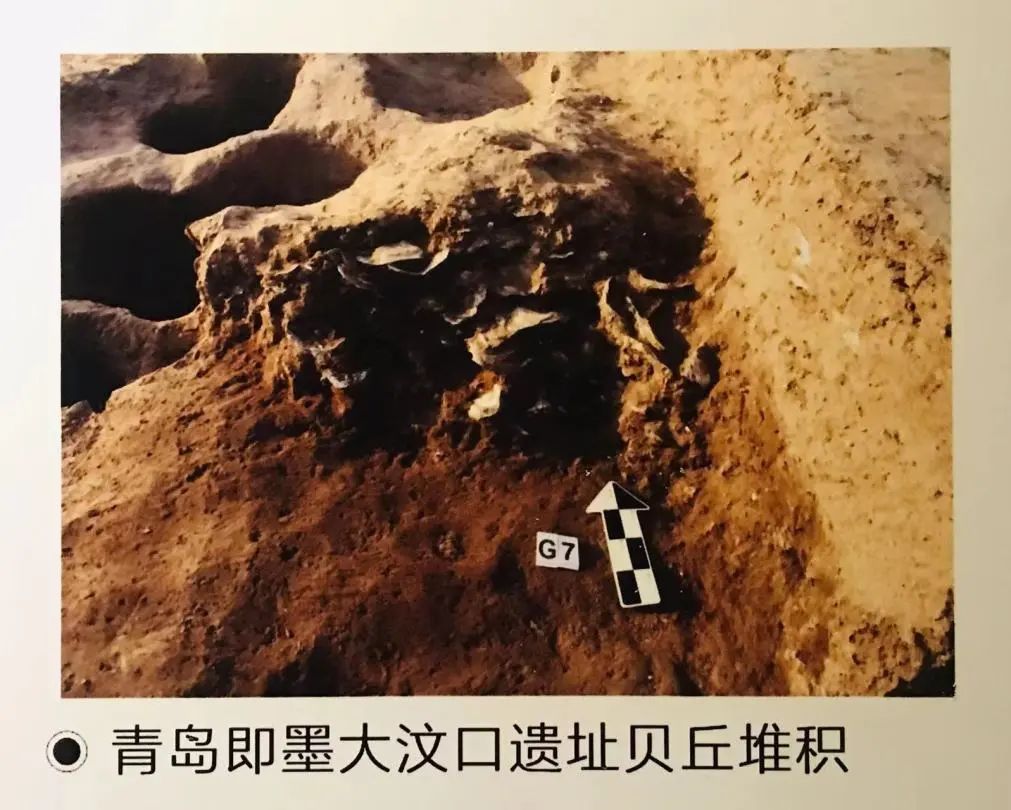 喜迎二十大 风好正扬帆｜中国古代航海史(上）