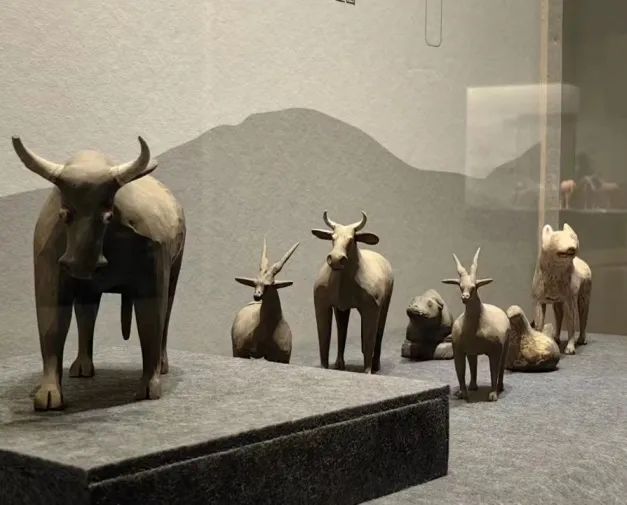 新展速览| “和合与共” 持续升温  精彩内容 一网打尽！
