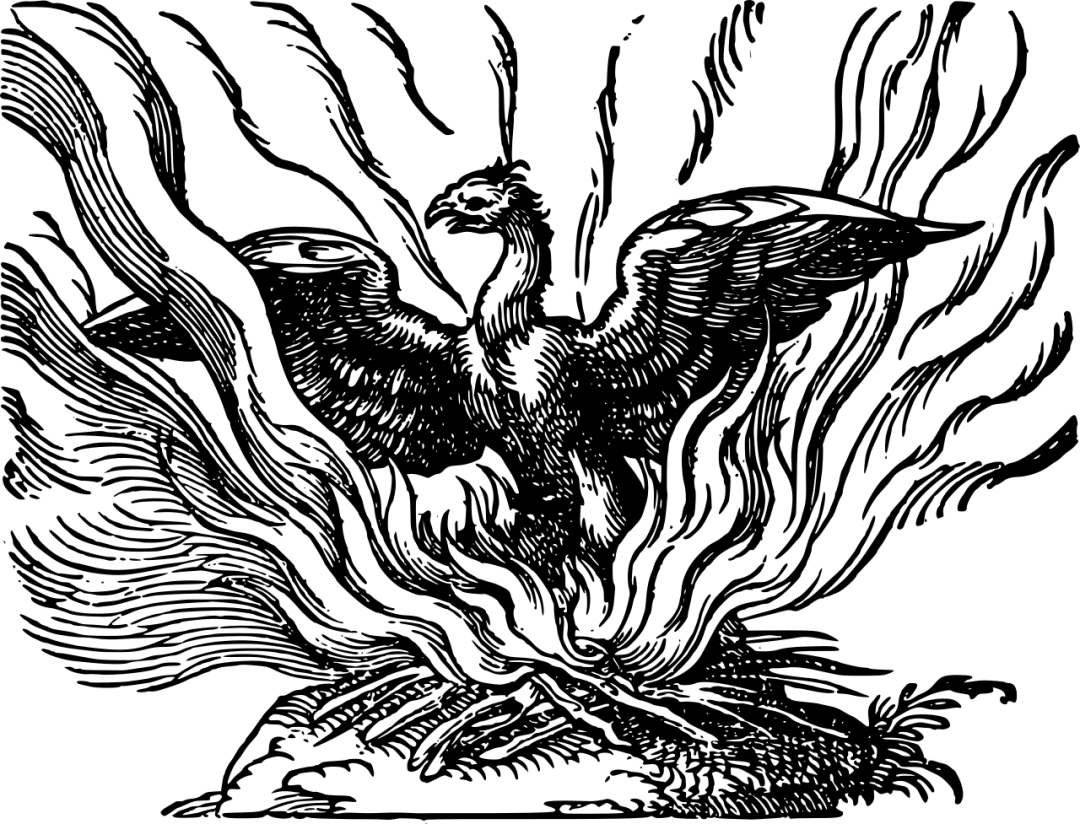线上展览 | “和合与共” ·千秋万岁（一）天之四灵