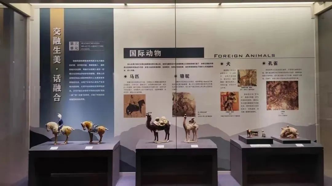 线上展览 | “和合与共” ·交融生美（一）国际动物·鸟语花香