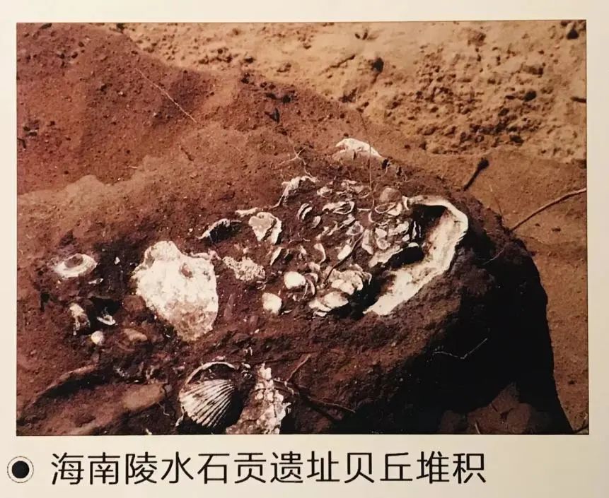 喜迎二十大 风好正扬帆｜中国古代航海史(上）